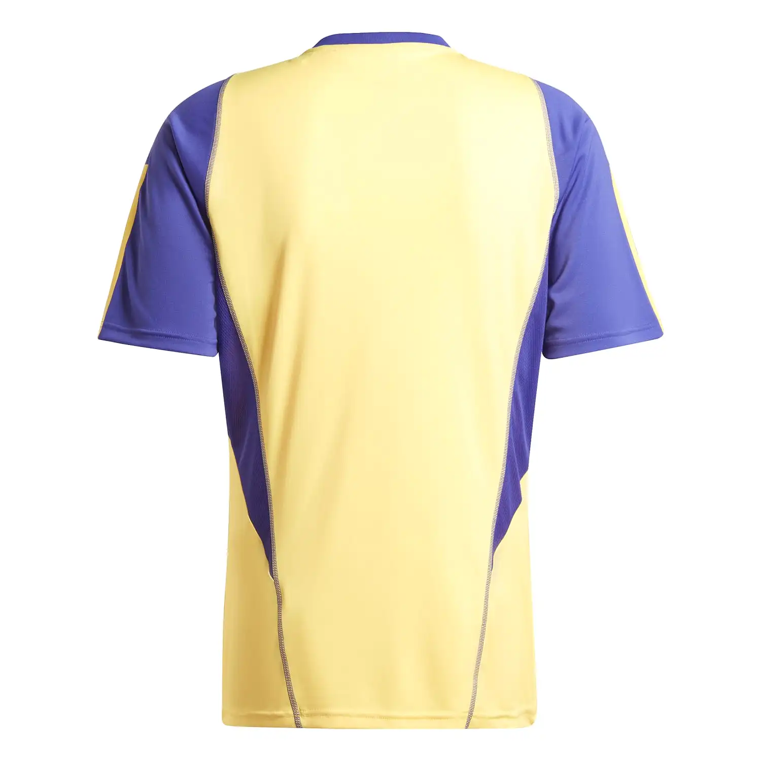 Camiseta Hombre Entrenamiento Amarilla 23/24