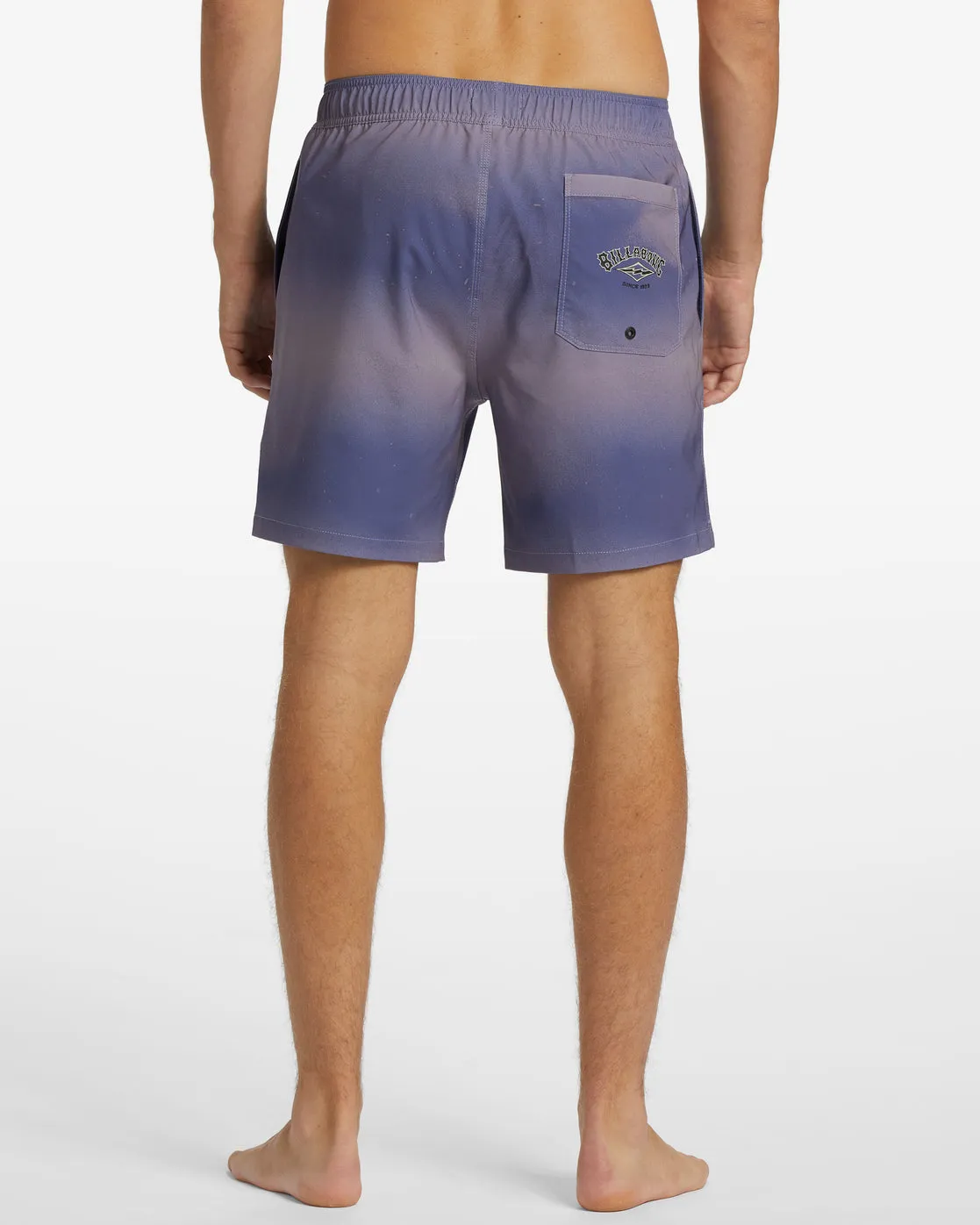 Riot Layback 17 Boardshorts - Lavender