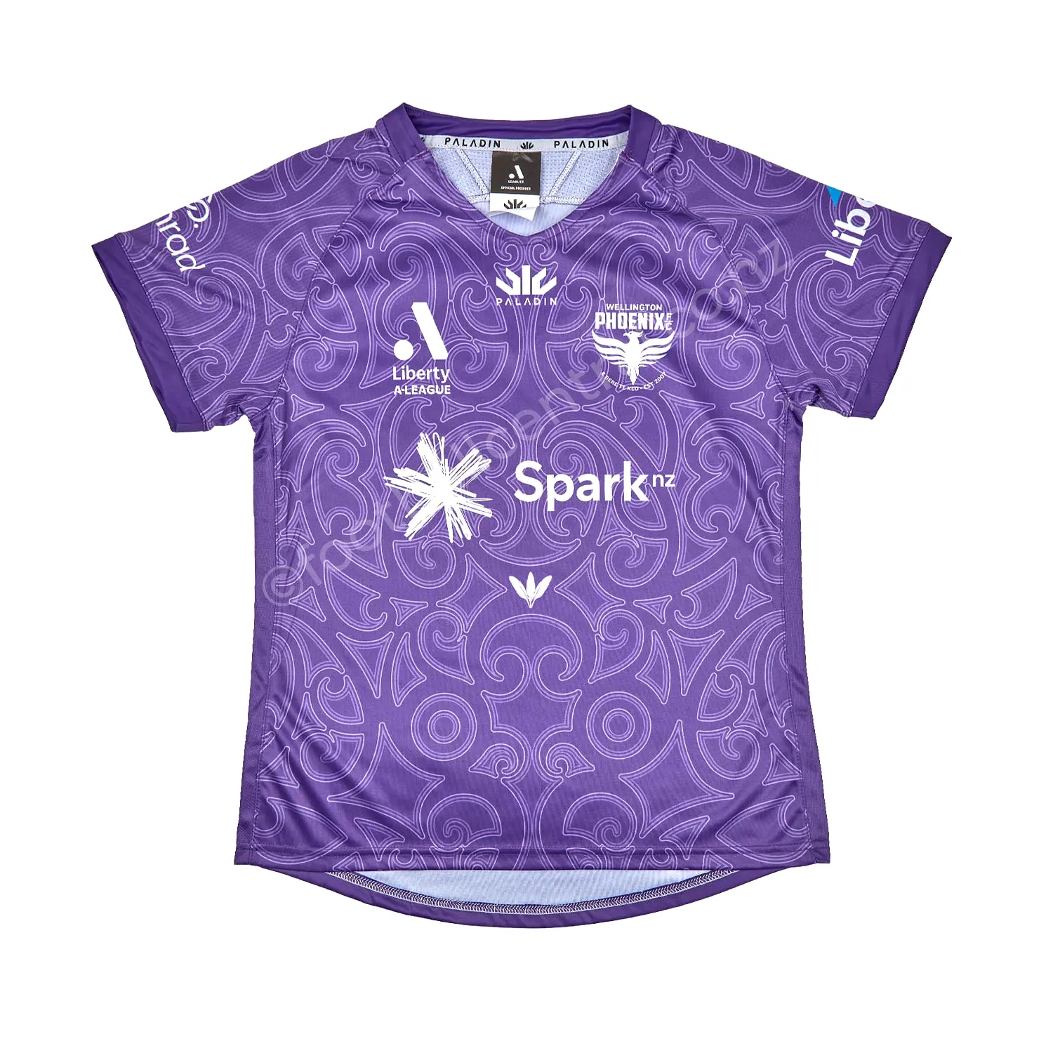 Wellington Phoenix A-League Womens GK Jersey 23/24 - Purple