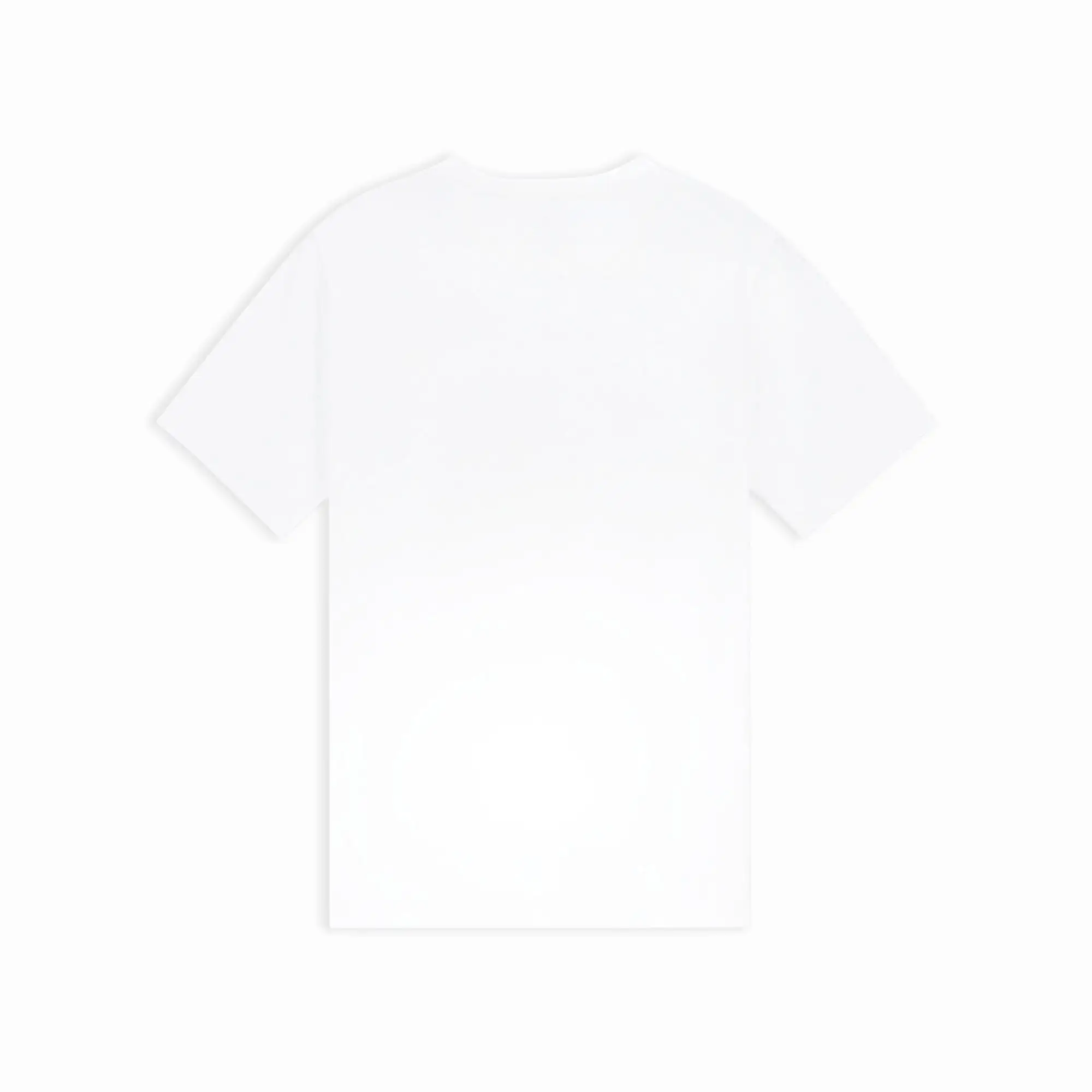 X DOTD GRAPHIC SS TEE 'WHITE'